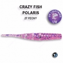 Crazy-Fish-Polaris-1