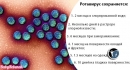 Rotavirusnaya_infekciya_lechenie_vzroslyh_i_detey_1-3