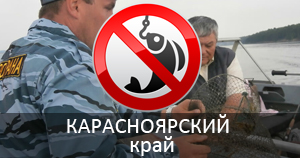 Нерестовый запрет в  Красноярском крае