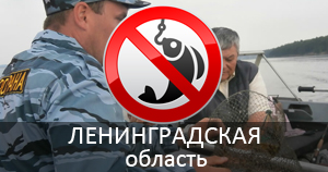 запрет на рыбалку в ленинградской области