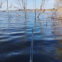 Рібалочка