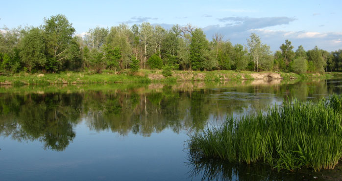 Река Северский Донец, рыбалка
